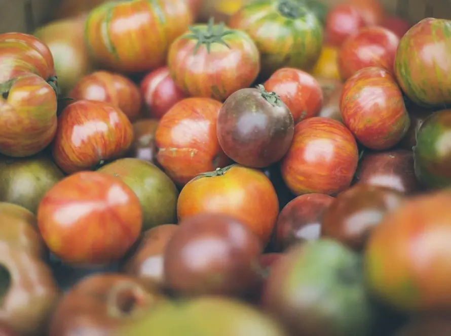 A Culinary Journey Through Italy's Eternal City