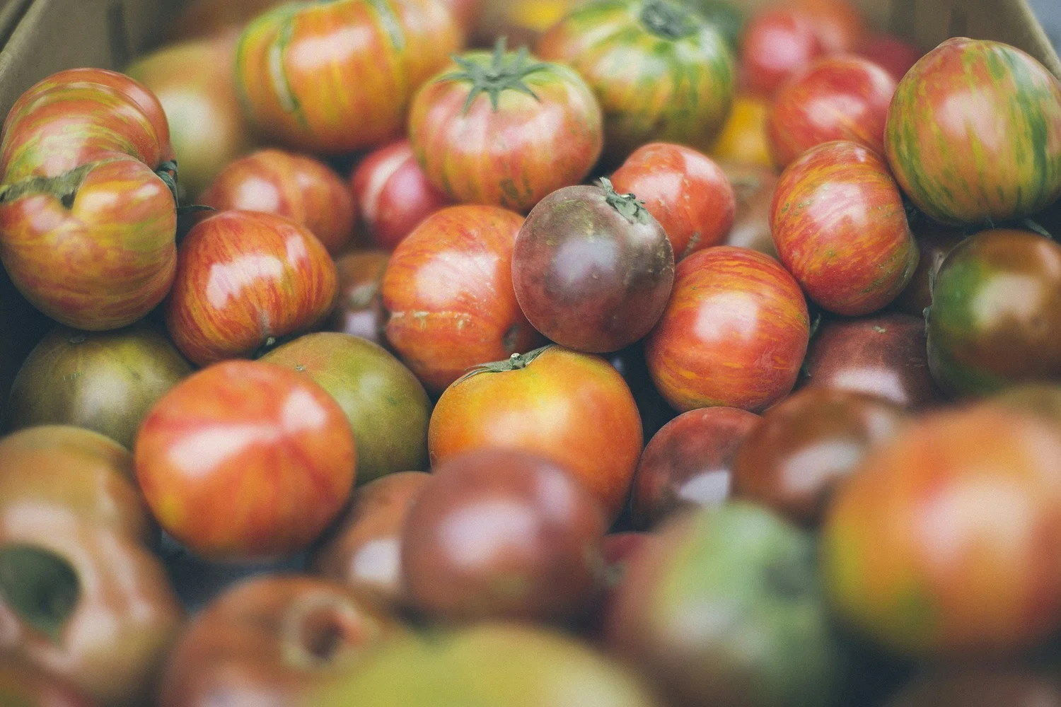 A Culinary Journey Through Italy's Eternal City