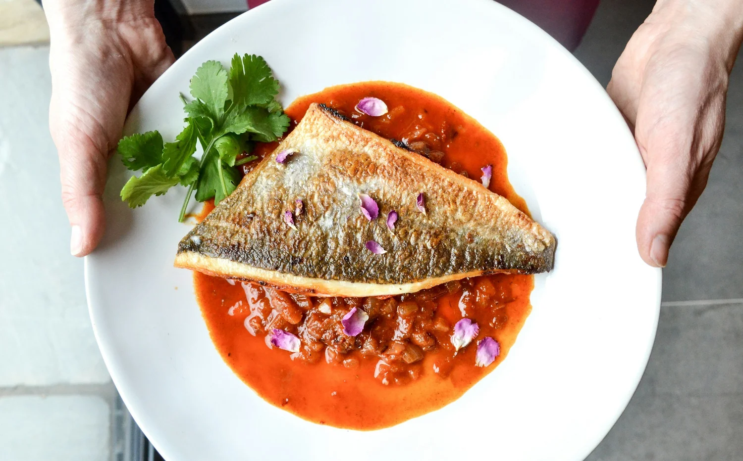 Tips and Tricks for Fish Cookery