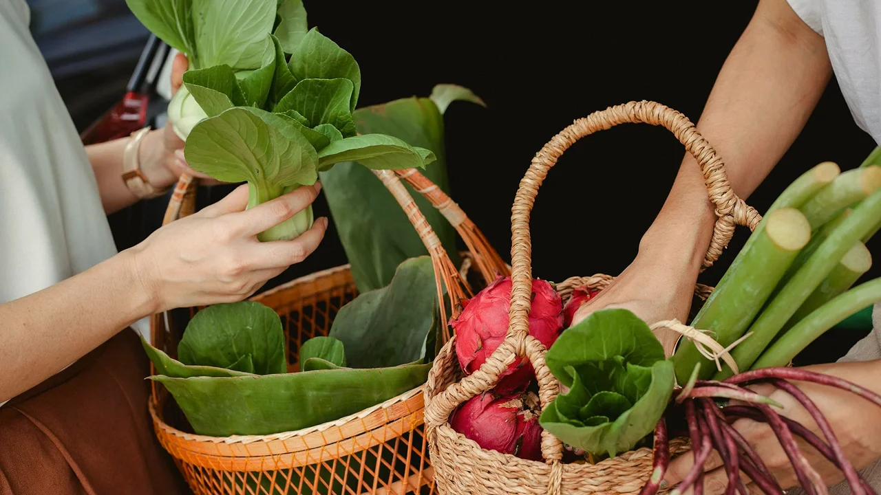 How We Reduce Waste & Support Sustainability