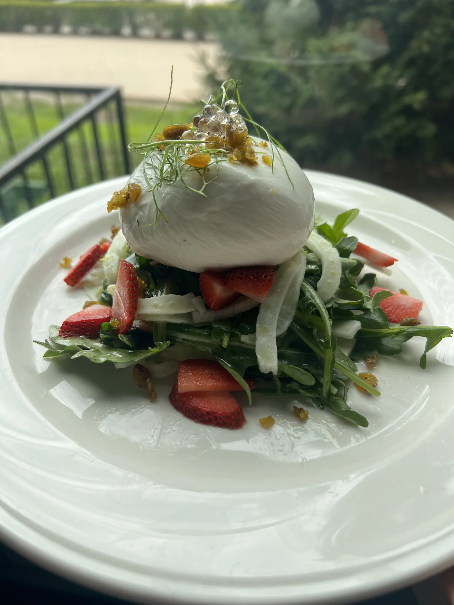 Strawberry and Fennel Salad